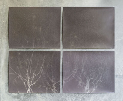 Frost of memory - a Photographic Art Artowrk by Luisa Milano